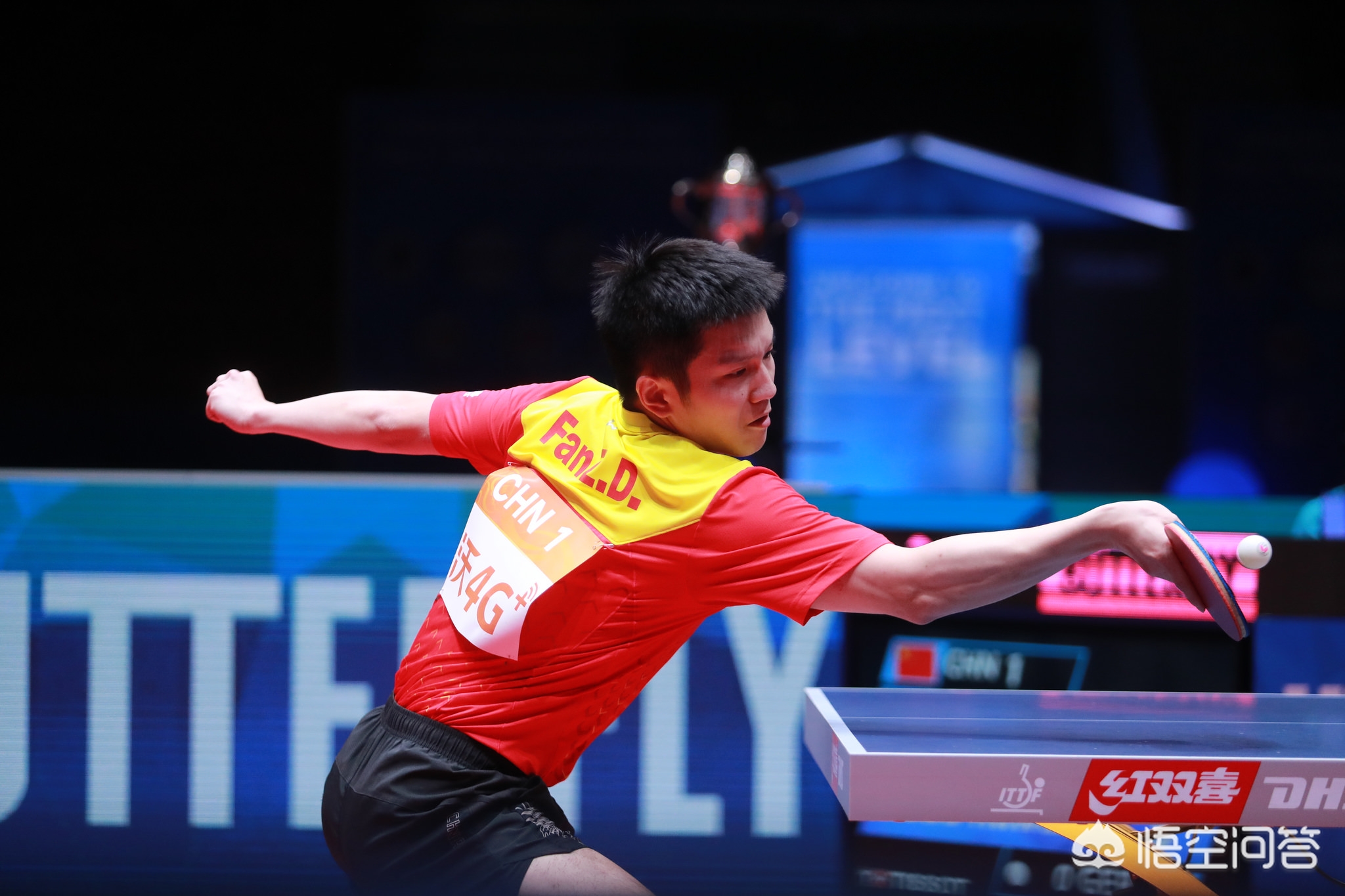 中大胆寻找 中大胆寻找