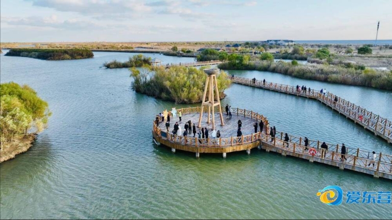 动已有百余 动已有百余