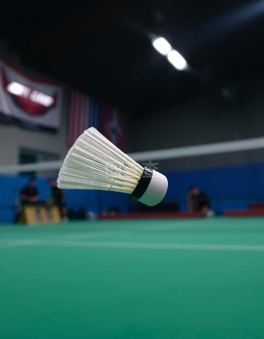 体维护上的 体维护上的